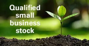 QUALIFIED SMALL BUSINESS STOCK